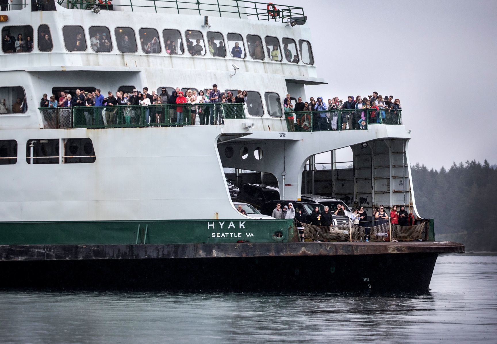 US-NEWS-ENV-ORCAS-1-SE